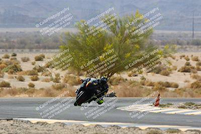 media/Apr-10-2022-SoCal Trackdays (Sun) [[f104b12566]]/Turn 5 Tree of Life (1040am)/